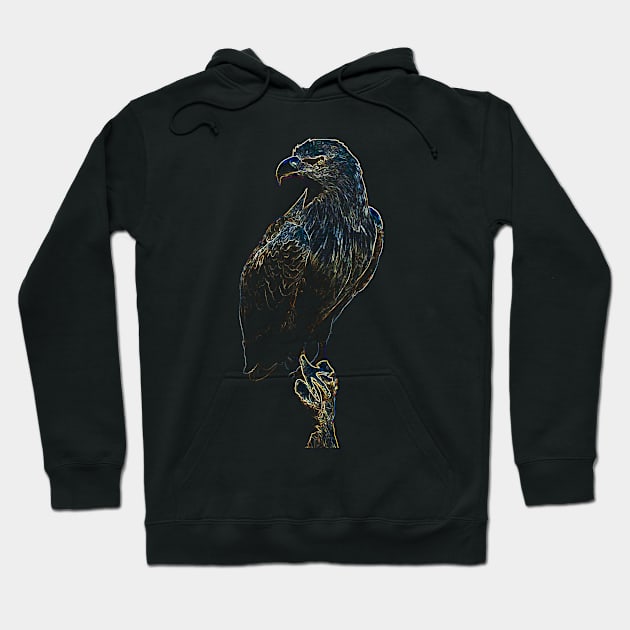 Eagle colored Hoodie by hottehue